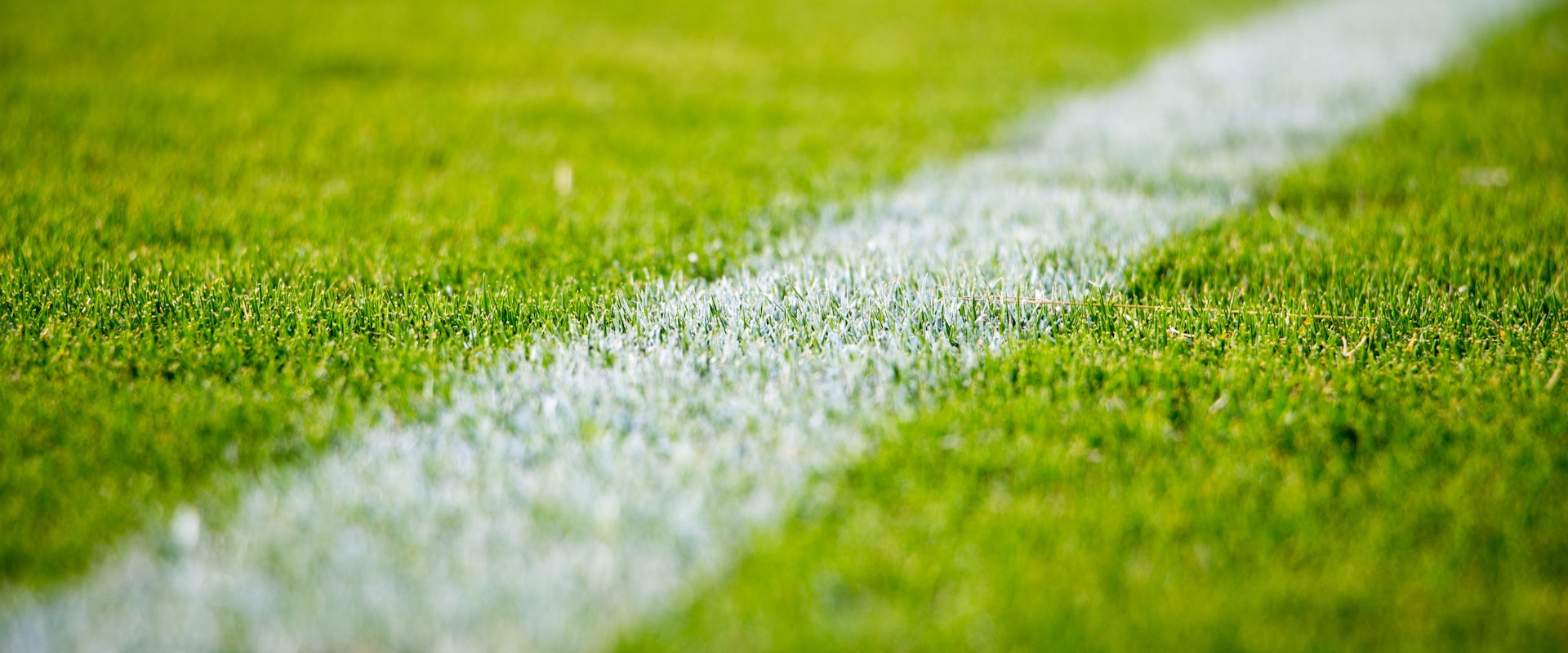 Close-up of a white line marking on a green stadium pitch